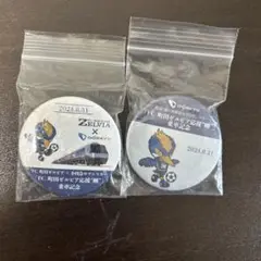 FC町田ゼルビア x Odakyu 記念バッジ 2個セット