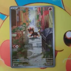 シシコ AR