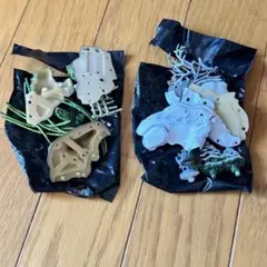 【未使用品】ガチャDX/こころの日本庭園/2種類/43