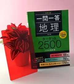 一問一答地理ターゲット2500 : 大学入試★定価1210円