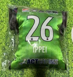 新品　RAZZOLI 2023 FC岐阜　石坂亮人　リミテッド　ユニフォーム 新品 RAZZOLI 2023 FC岐阜 石坂亮人 リミテッド ユニフォーム