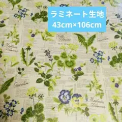 YUWA　小関鈴子デザイン ラミネート布地