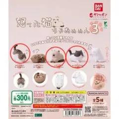 怒った猫ちゃあぁぁん3 ガチャガチャ カプセルトイ