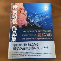 伊東昭義作品集 龍宮の海　写真集　ウミガメ　サンゴ