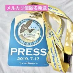 非売品 ソアリン プレス限定 パス