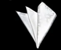 Item thumbnail for item 433d8af7-cc2f-4419-8f91-c2b3075544e1
