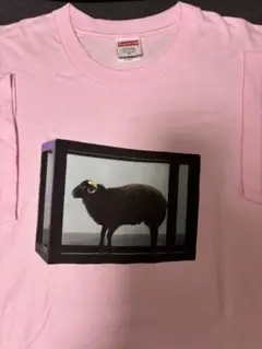 Supreme Damien Hirst Tee Mサイズ