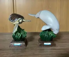 美品　ネイチャーテクニカラー　ジュゴン　アオウミガメ