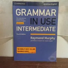 Grammar in Use Intermediate 第四版