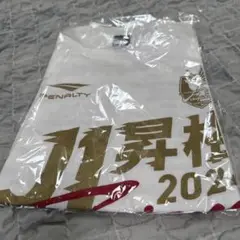 新品未使用未開封　ファジアーノ岡山　J1昇格記念Tシャツ