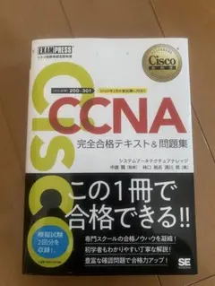 Item thumbnail for item 2bfe5623-3ce8-4704-9120-71bec3af984f