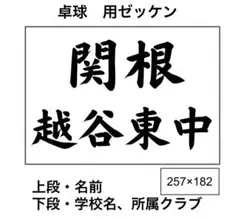 【在庫処分】卓球 ゼッケン/バタフライ Nittaku ミズノ ウェアラケット