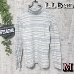Item thumbnail for item ae674cf6-efa1-4385-8cfa-465e4b53915a