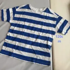 ZARA 青と白のストライプ Tシャツ 6-7 120cm