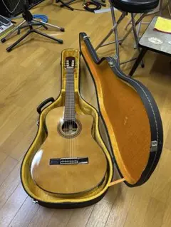 美品！aria a-35ce エレガットギター　電池フタ欠品 美品！aria a-35ce エレガットギター 電池フタ欠品 - メルカリ