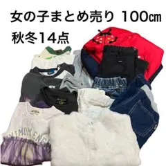 まとめ売り 女の子【100cm】14点子供服 通学 通園登園 お着替え