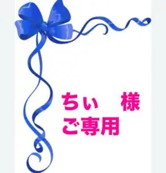 ★ちぃ　様★ご専用★