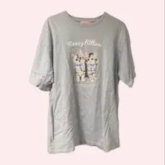 Honey Cinnamon twins kitten Tシャツ