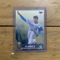 Item thumbnail for item 365acf1e-24bf-448c-8181-36ecb522c38b