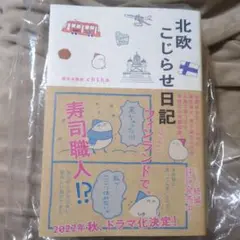 【新品・未使用】北欧こじらせ日記 移住決定編