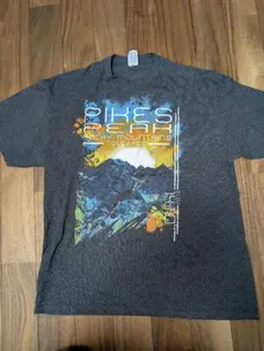 Pikes Peak Rocky Mountains Tシャツ XL グレー