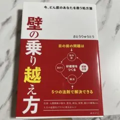 壁の乗り越え方　さとうりゅうとう　新品未開封