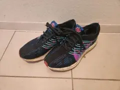 Nike ペガサスターボネクストネイチャー　25.5