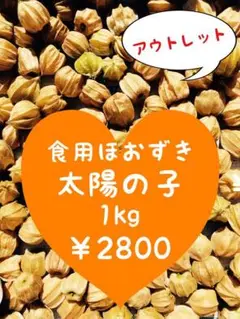 バディアス農園 食用ほおずき 太陽の子