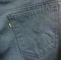 2025年最新】levis 911bの人気アイテム - メルカリ