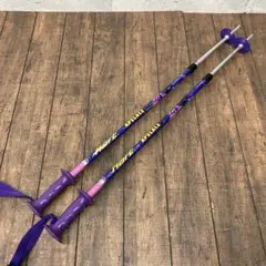 Hart APELACE 伸縮式 スキー ストック ポール 80cm~105cm