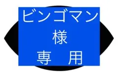 新品未使用　BINGSURFBOARDSフードパーカー　ビングサーフ 2025年最新】#BINGSURFの人気アイテム - メルカリ