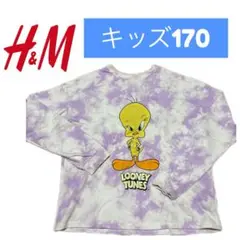 Item thumbnail for item 2c442afd-c94f-413f-a1c3-2173cb47e4be