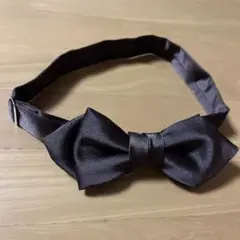 Item thumbnail for item 6df0028a-0e43-4d07-9978-2dcd95790486