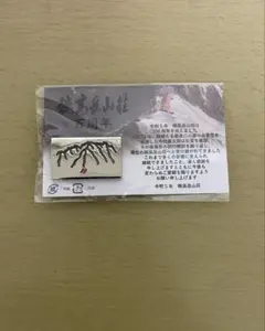 穂高山荘　100周年　サコッチ　ポーチ　手ぬぐい 穂高岳山荘100周年サコッチ手ぬぐい