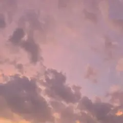 専用ページ