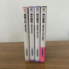 沙野風結子 神シリーズ 4冊セット