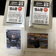 千葉ロッテマリーンズ　石川柊太選手 シークレットチェキ 2枚 背番号２１BSW