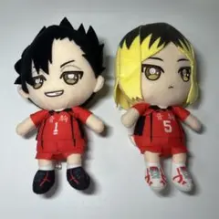 黒尾・研磨ぬいぐるみ