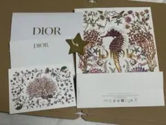 DIOR 星チャーム 紙袋　カード　セット