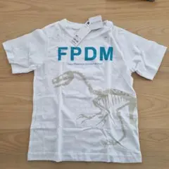 GU 福井県立恐竜博物館コラボTシャツ