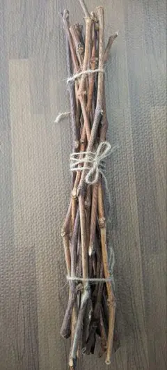 葡萄の枝　40センチ10本ほど