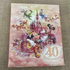 ディズニー40周年　スーベニアメダルケース
