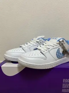 ニコールハウゼ　NIKE SB