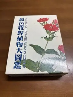 原色樹木大図鑑　北隆館 原色樹木大図鑑 北隆館