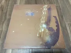 DJ Krush - Only The Strong Survive レコード