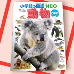 Item thumbnail for item 513eb940-d78c-4bbe-b6f2-5d9114276ded