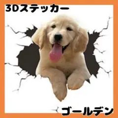 ステッカー3D 犬 ゴールデンレトリバー シール 傷隠し 雑貨 壁 車 動物
