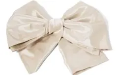 Item thumbnail for item 6c8ee00a-6c27-473c-b498-9d8b920391f9