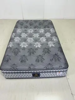 Sealy（シーリー）　チタンコレクション　エバンス2