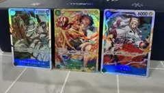 受け継がれる意思10パック分